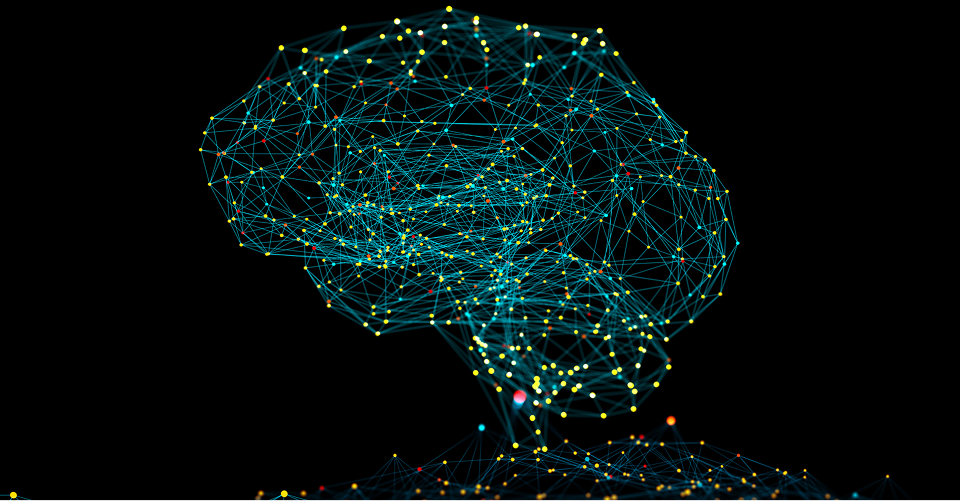 quantum biology